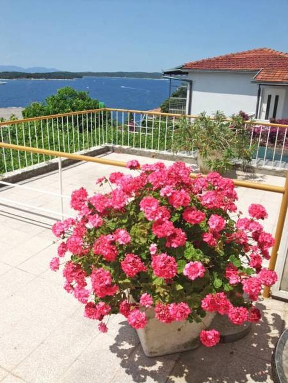 Rooms Vinka Tudor Hvar Town Eksteriør billede